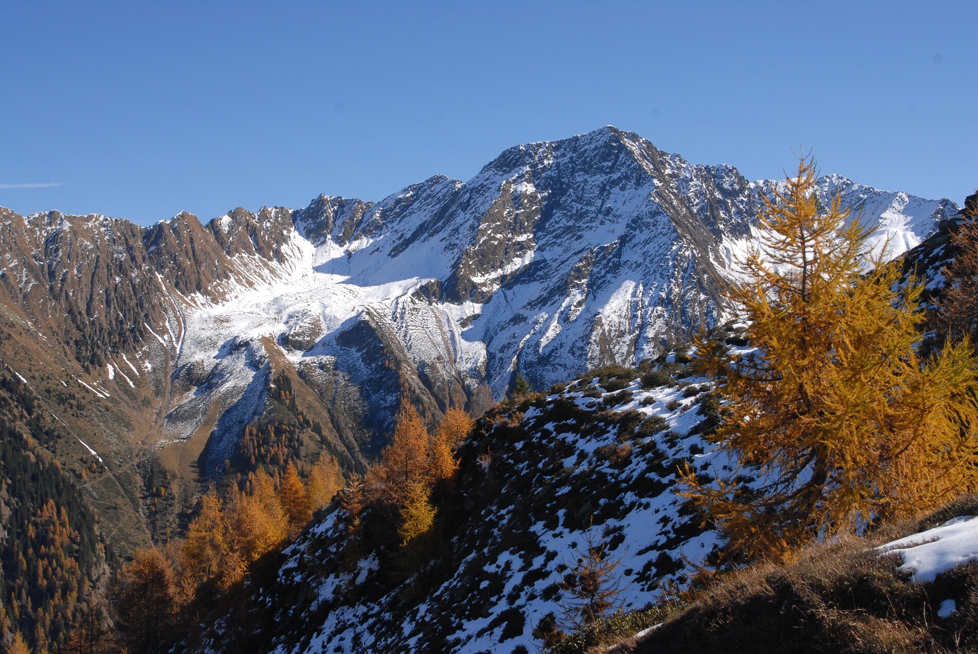 Alplerspitze/Punta Alpetta