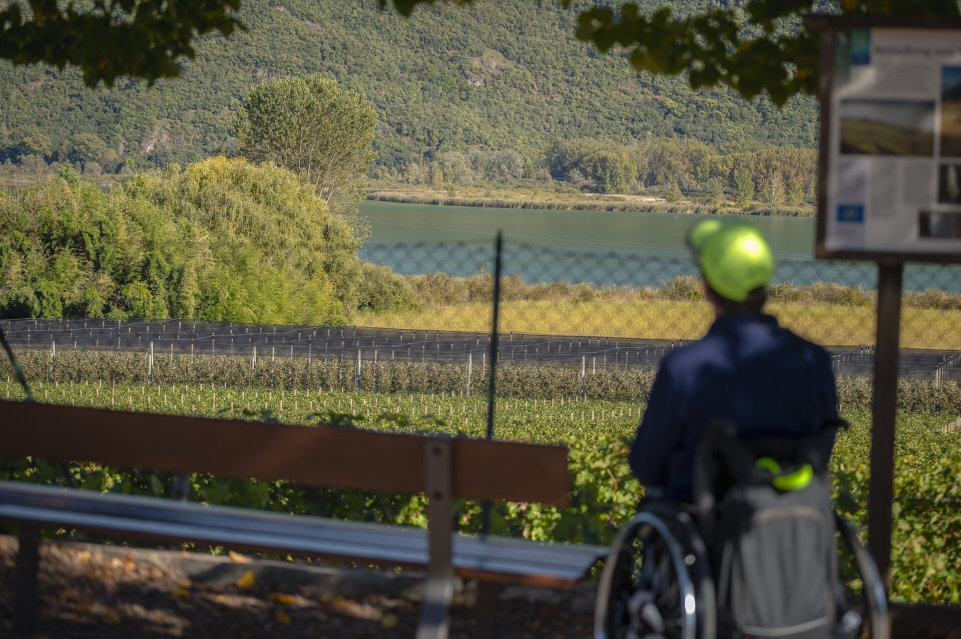 Accessible Hiking Trail at the Lake - Alto Adige Wine Road - #3 - suedtirol.info