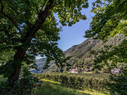 Sentiero dei castelli "Castelronda" San Genesio variazione  C Bolzano 6 suedtirol.info