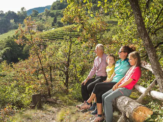 Burgenweg Glaning Greifenstein Glaning