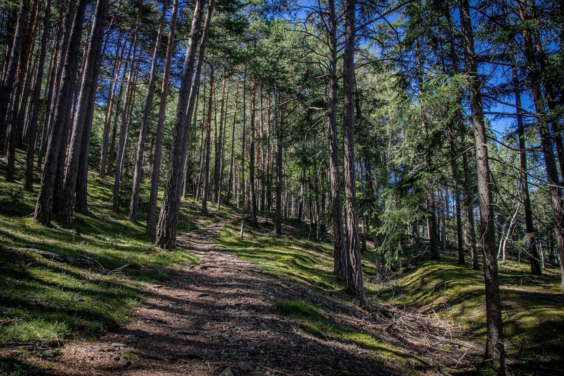 St. Anne´s Miners´ Chapel - Brixen/Bressanone and environs - #3 - suedtirol.info