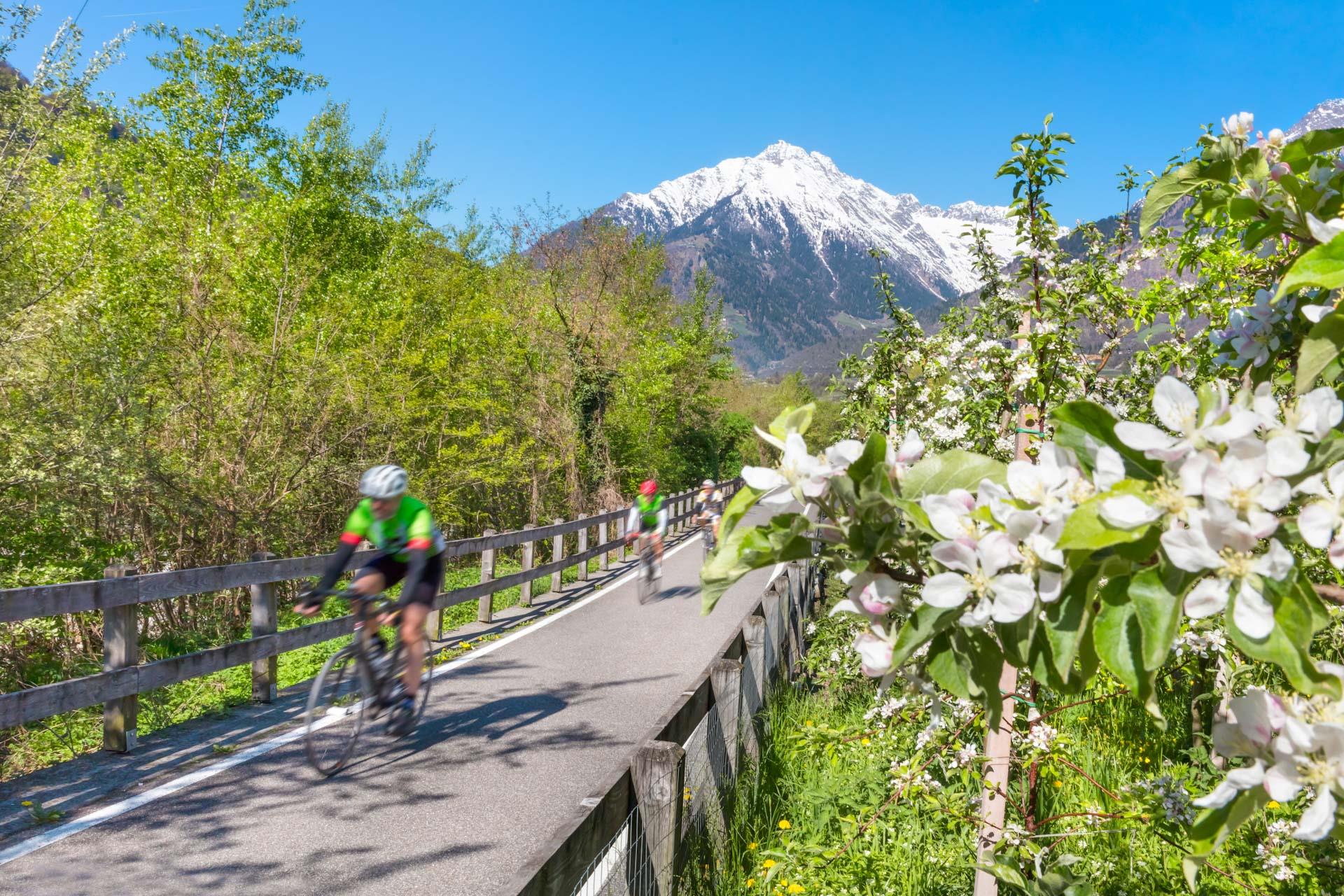 Pista ciclabile della Val Venosta Malles - Lagundo Lagundo 1 suedtirol.info