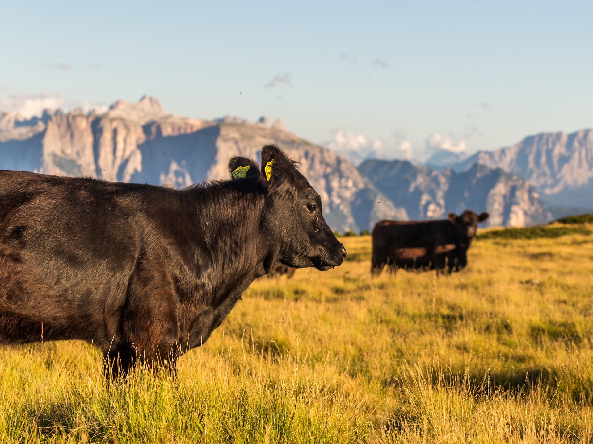 Barbian - Huber Kreuz - Unterhornhaus  - Brixen und Umgebung - #1 - suedtirol.info