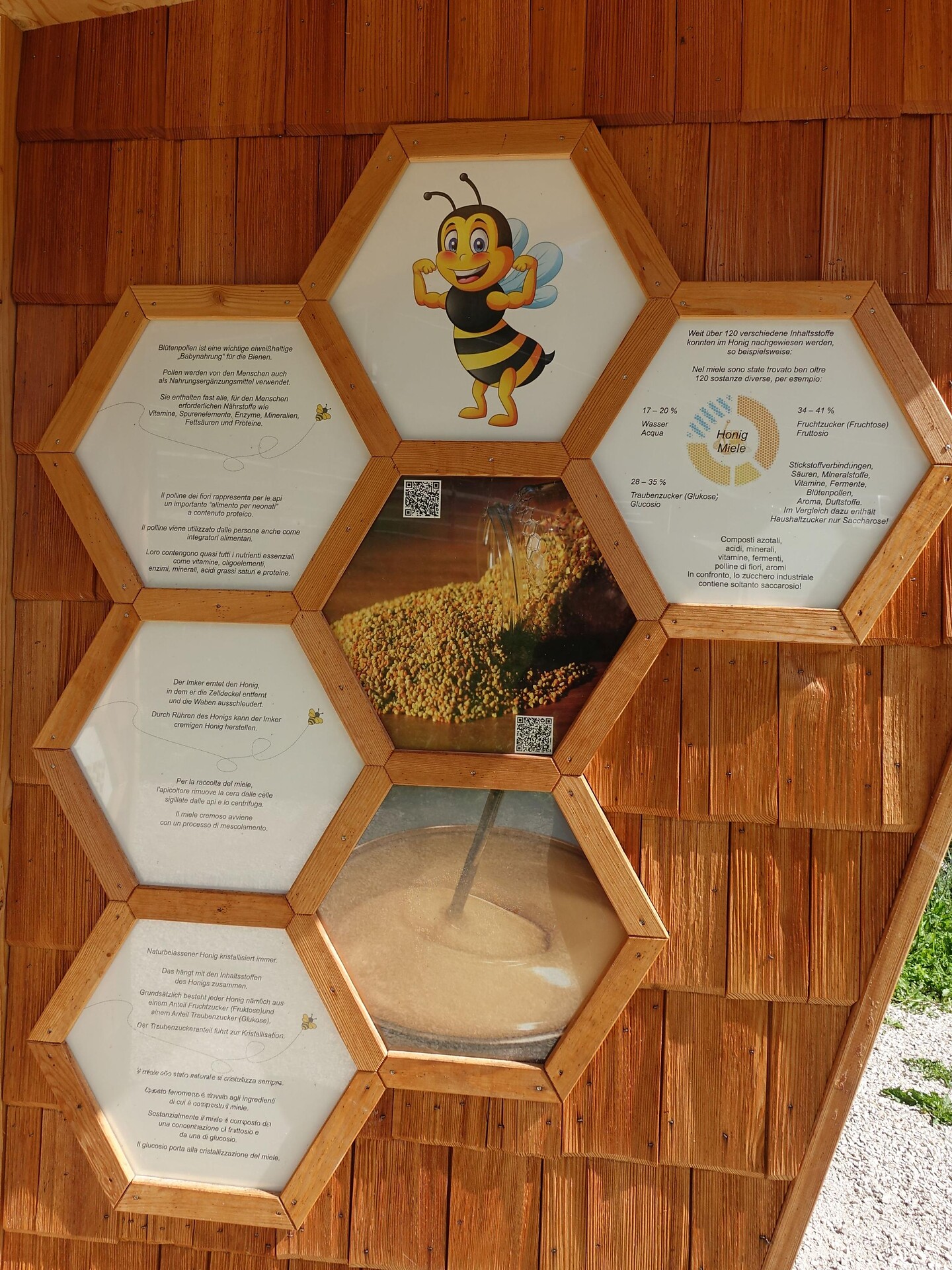 Bienenwelt