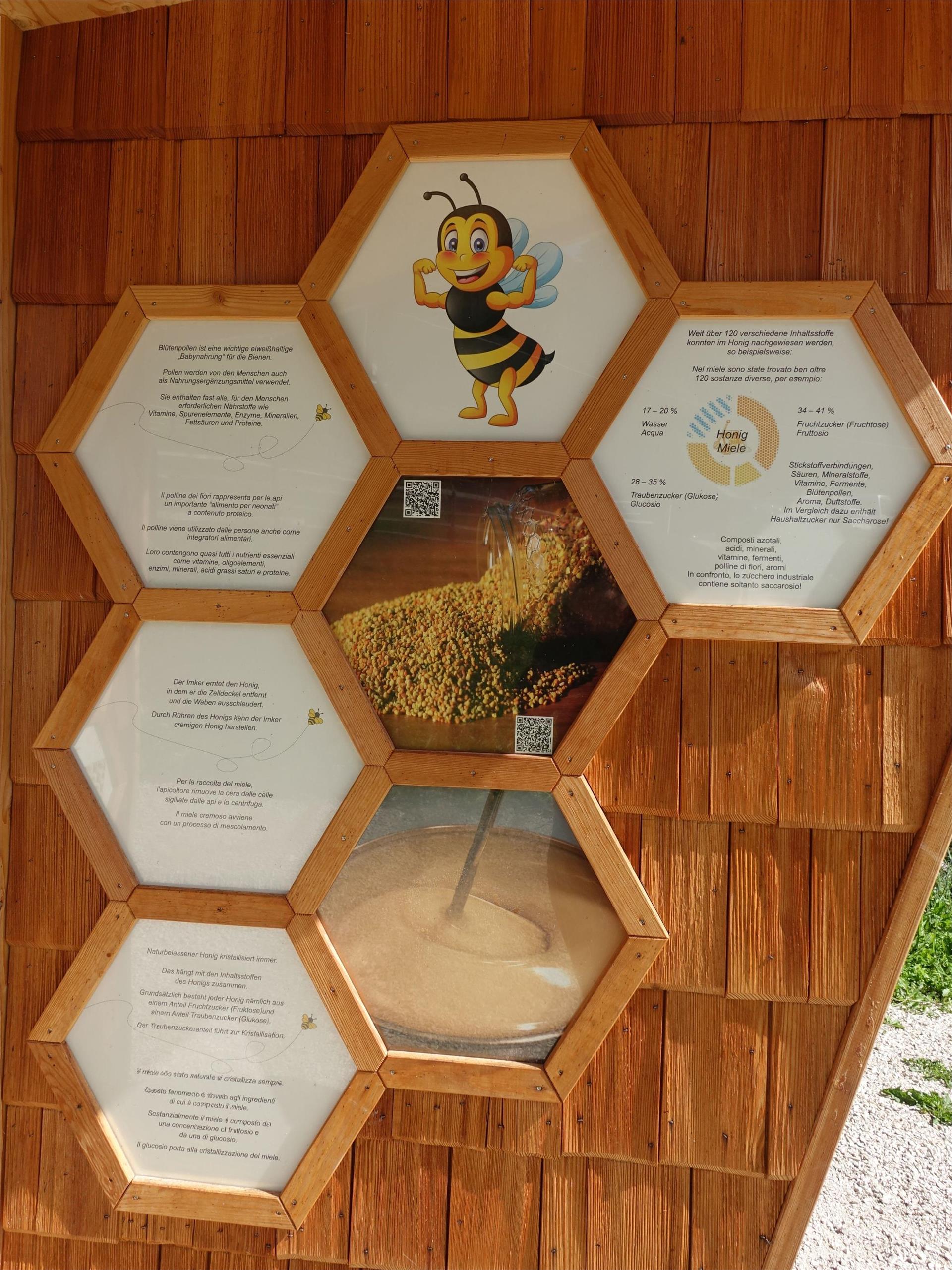 Bienenwelt am Rainguthof Tisens 4 suedtirol.info