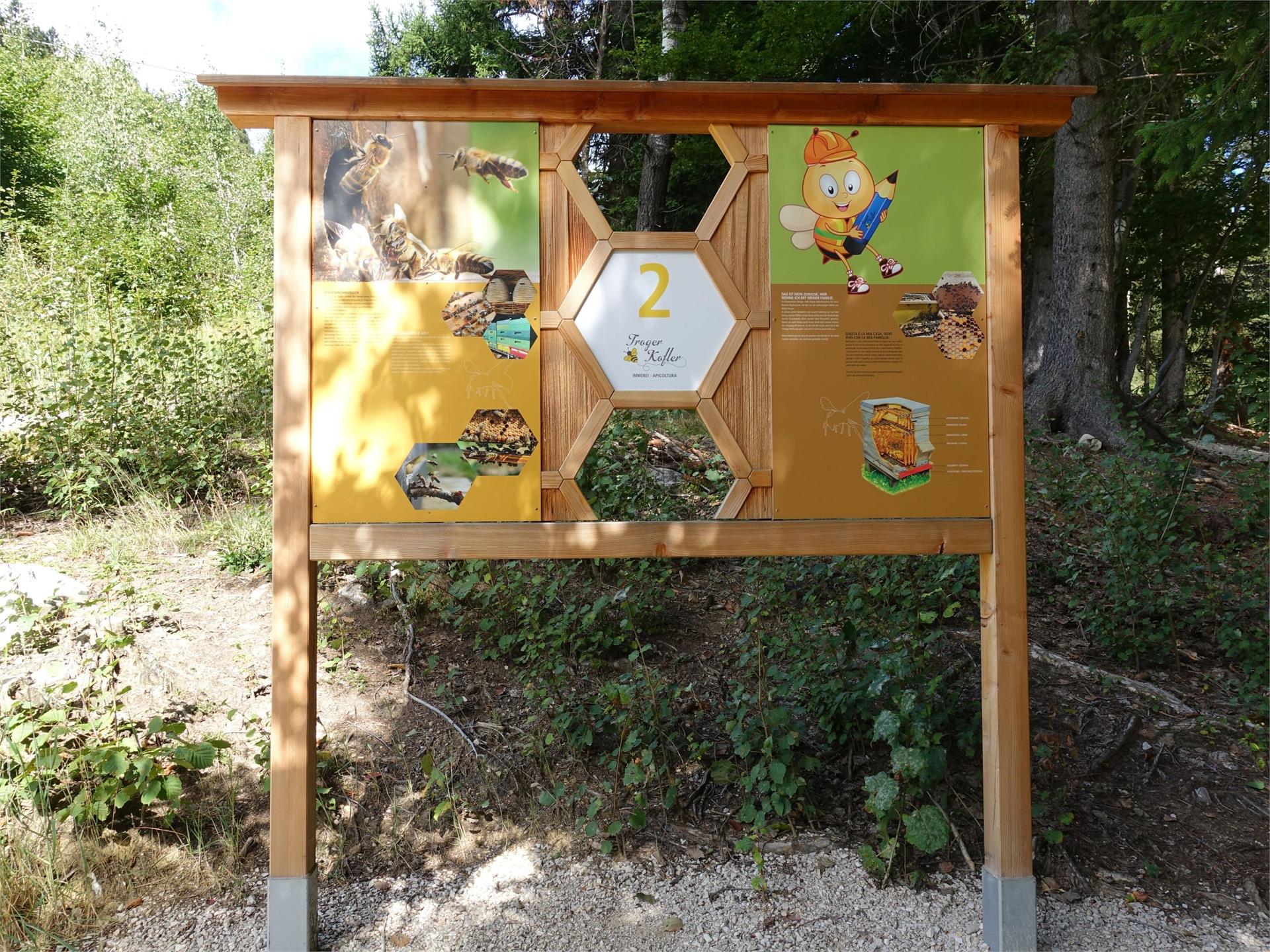 Bienenwelt am Rainguthof Tisens 7 suedtirol.info