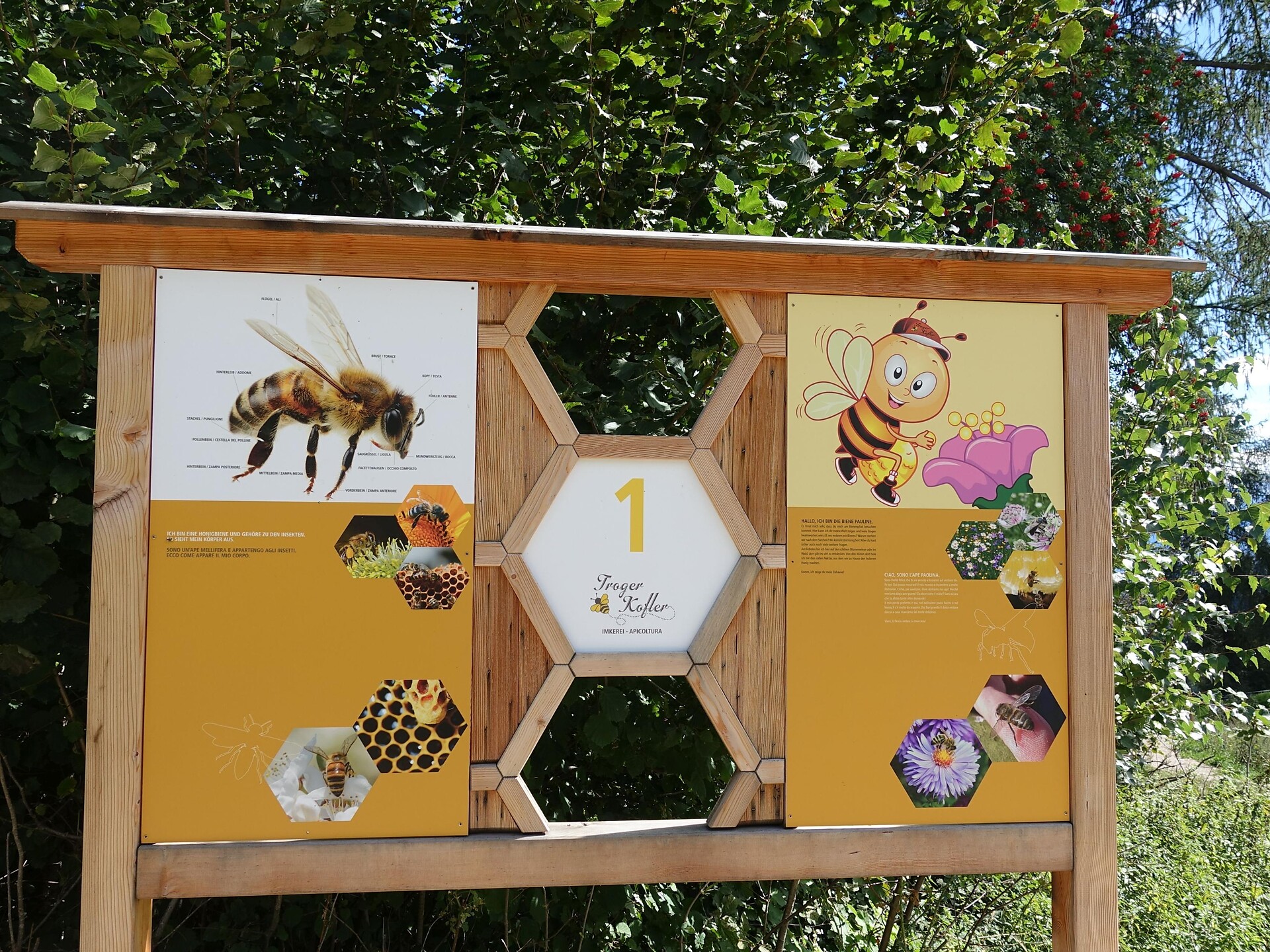 Bienenwelt