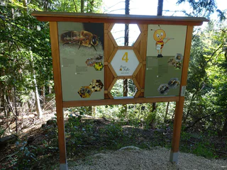Bienenwelt am Rainguthof - Tisens - #8 - suedtirol.info