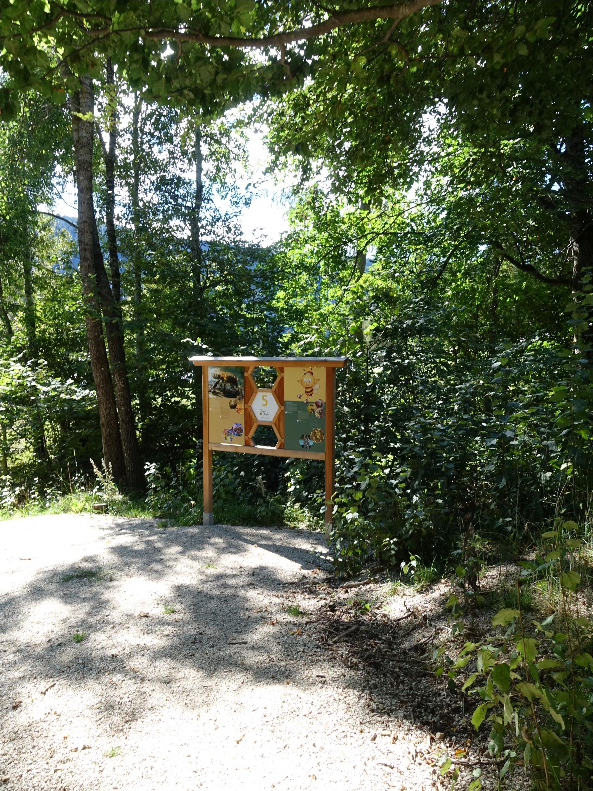 Bienenwelt am Rainguthof Tisens 10 suedtirol.info