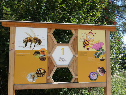 Bienenwelt am Rainguthof Tisens 6 suedtirol.info