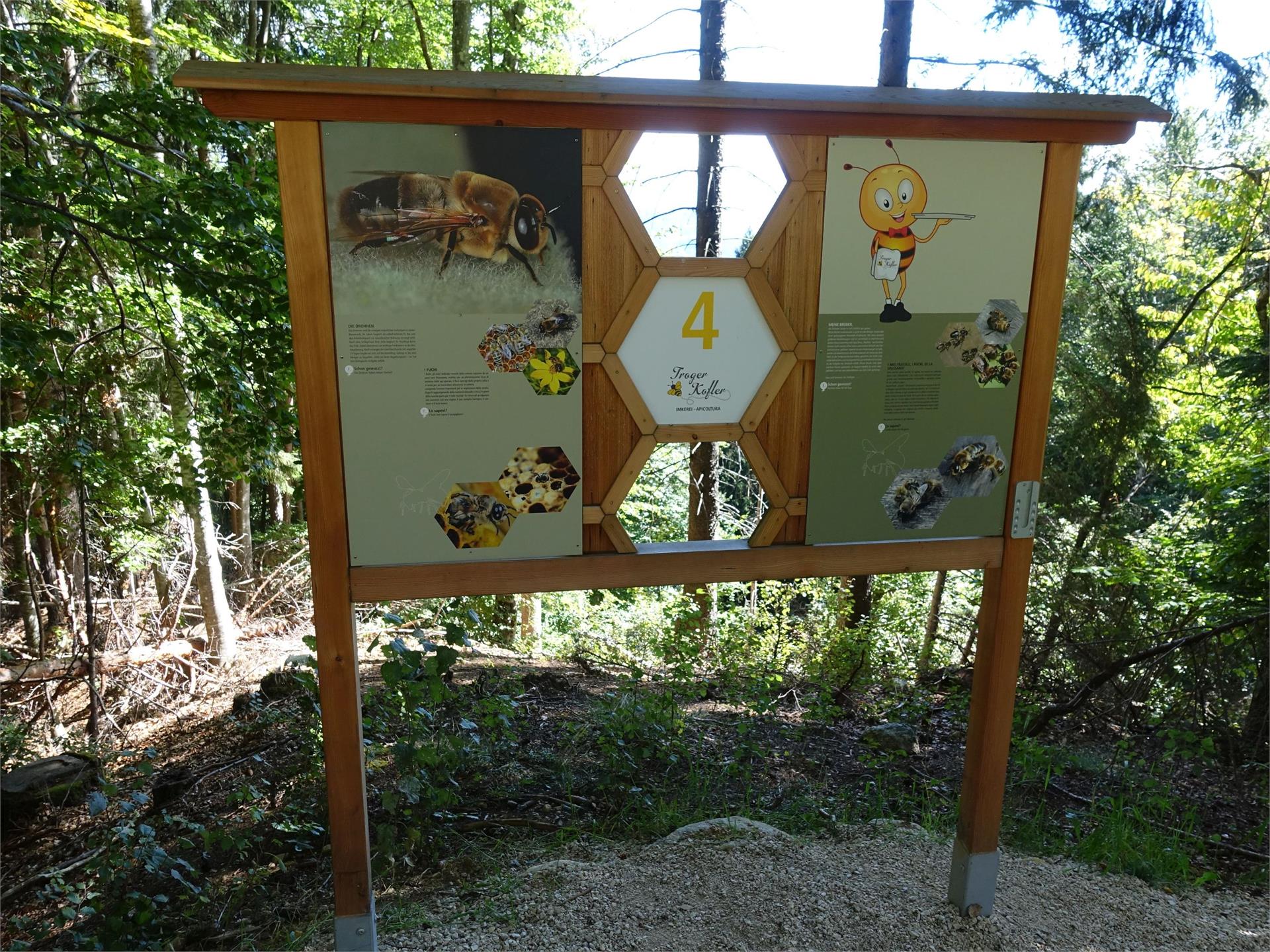 Bienenwelt am Rainguthof Tisens 8 suedtirol.info