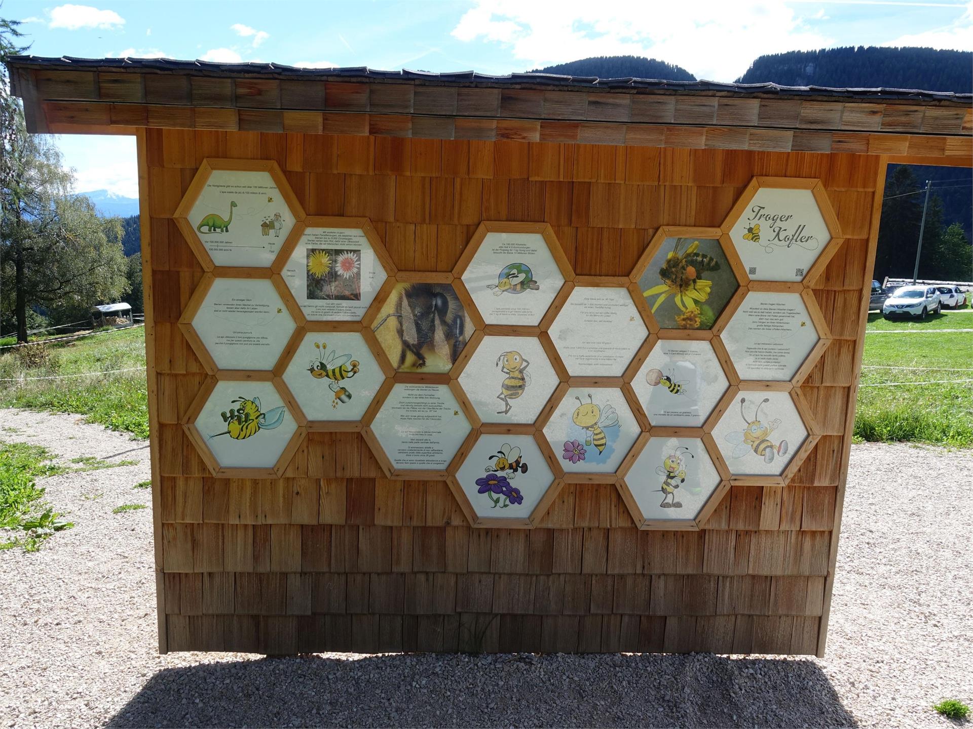 Bienenwelt am Rainguthof Tisens 5 suedtirol.info