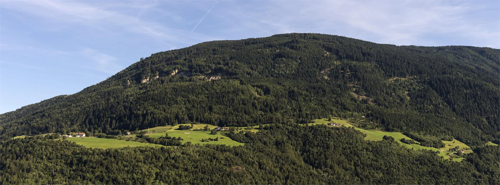Slide 3