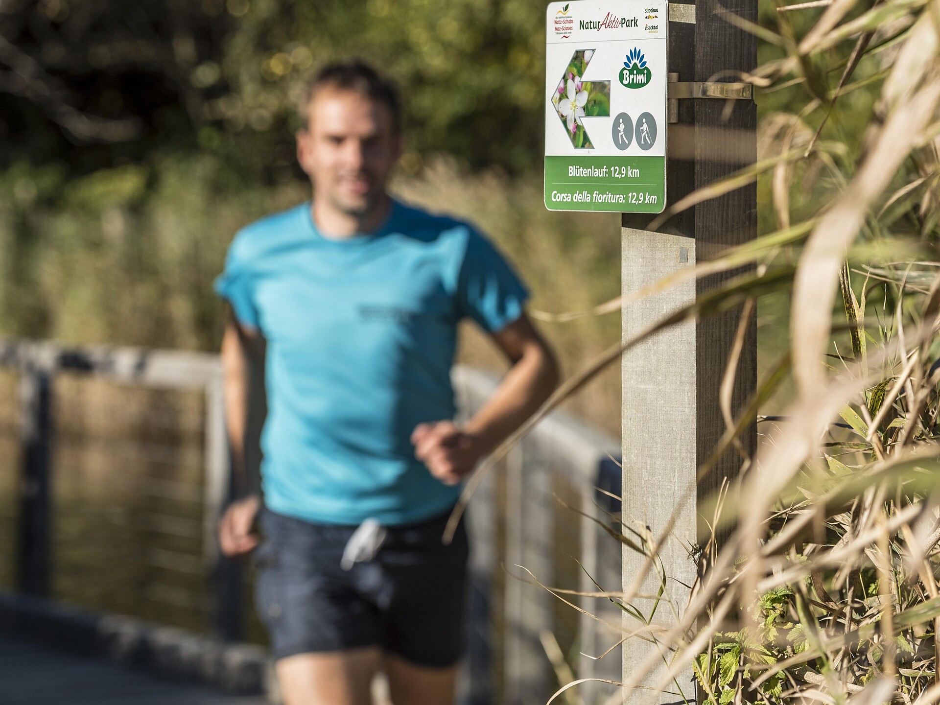 Corsa della fioritura