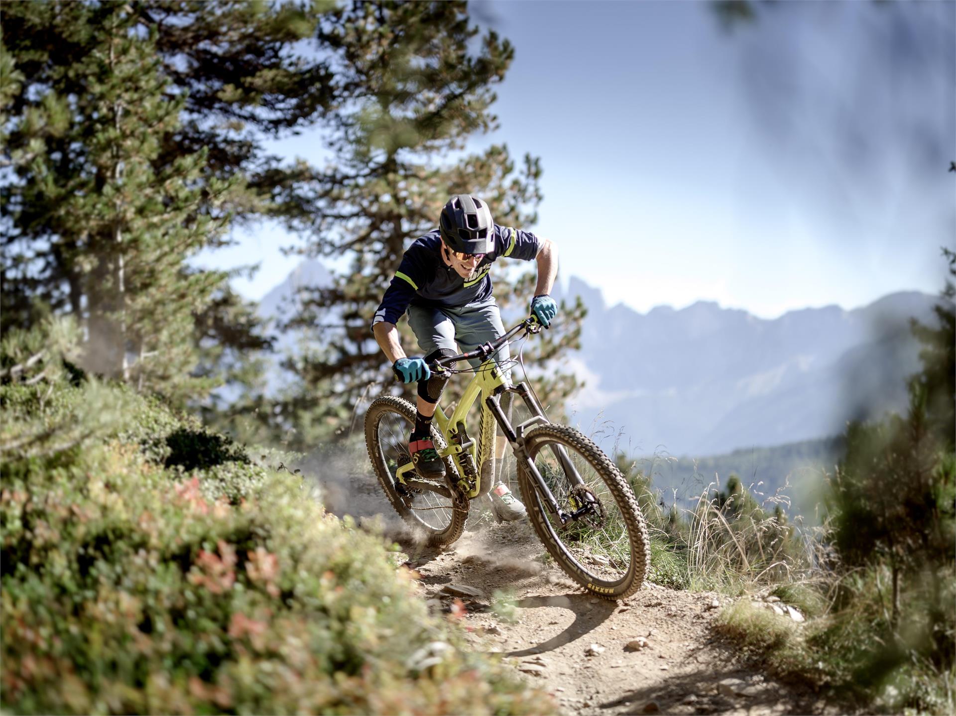 Brixen Bikepark: Hammer Line Brixen/Bressanone 1 suedtirol.info