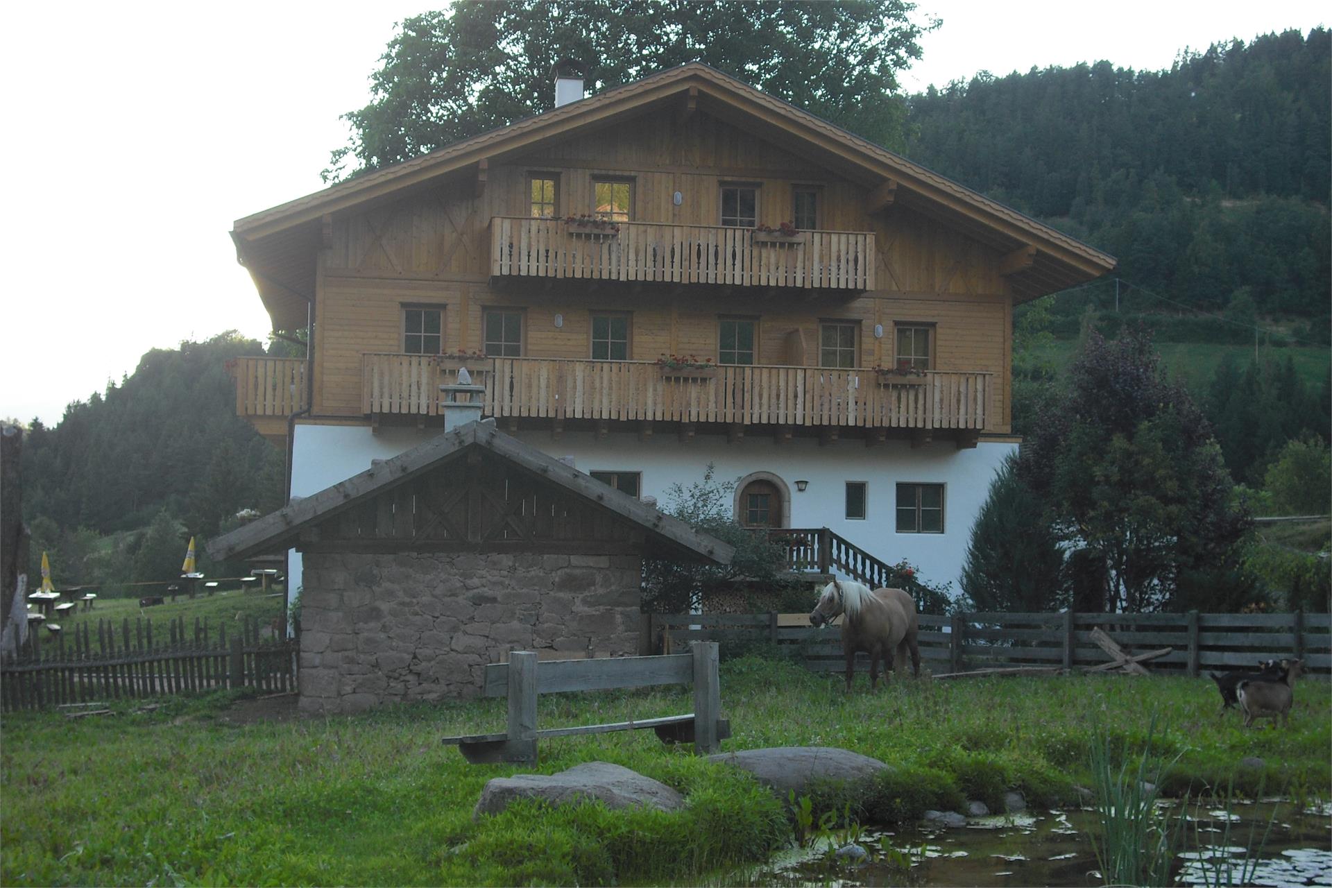 maneggio Bacherhof Meltina 3 suedtirol.info