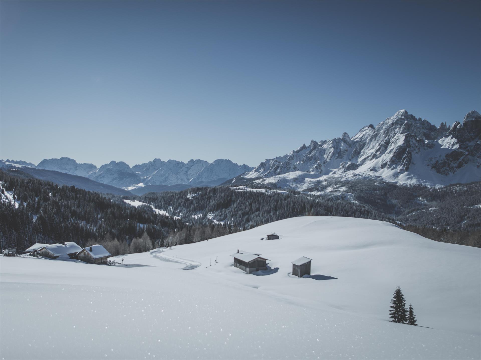 Bergstation Stiergarten – Klammbachalm – Nemesalm – Kreuzbergpass - Skibus Signaue Sexten 1 suedtirol.info