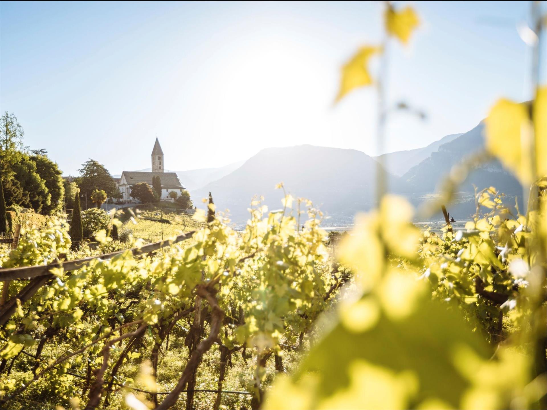 Brenntalweg - Kurtatsch Tramin an der Weinstraße 1 suedtirol.info