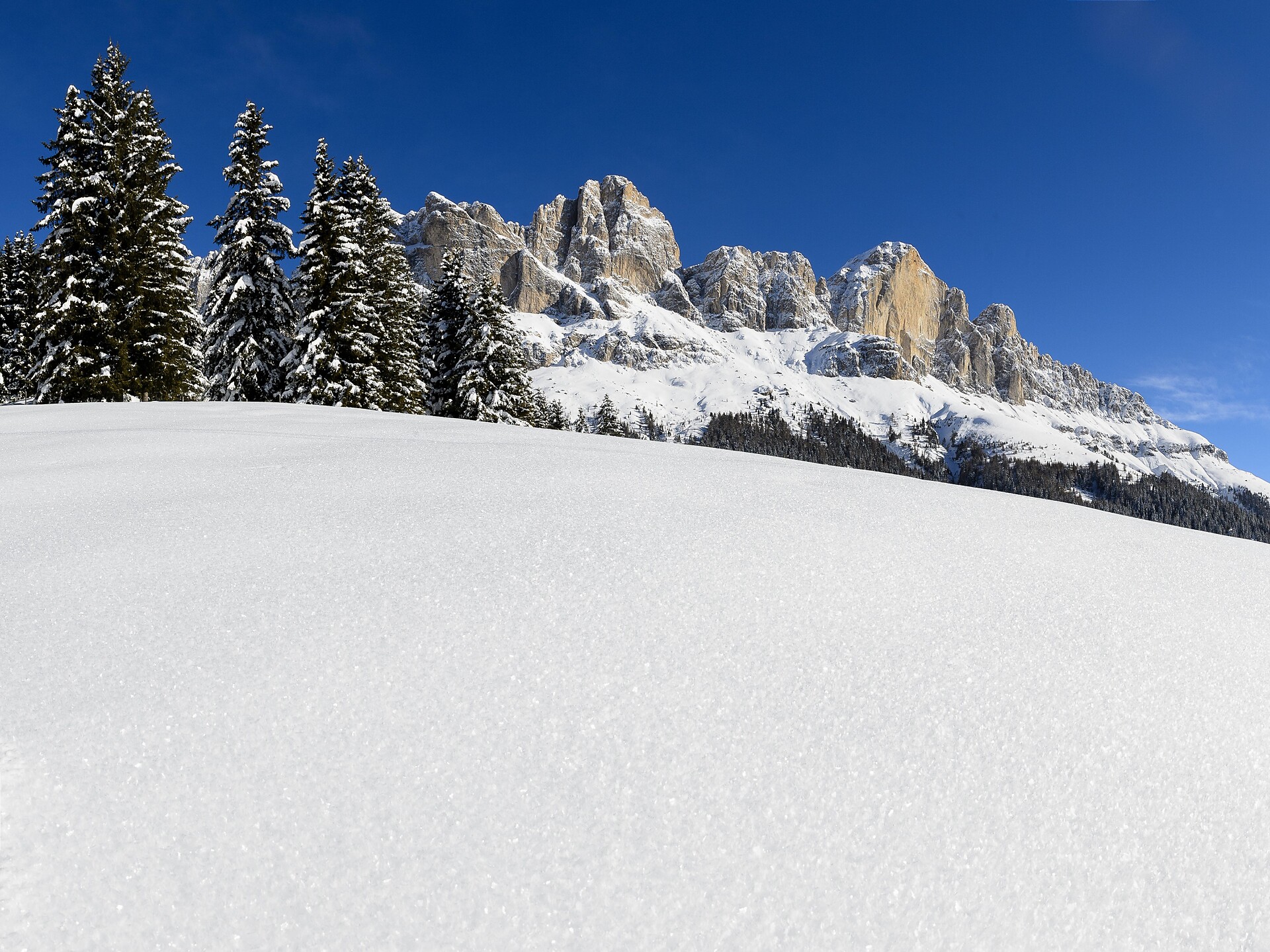 Ciaspolata al Buselineck-Monte Nigra a Nova Levante Nova Levante 1 suedtirol.info