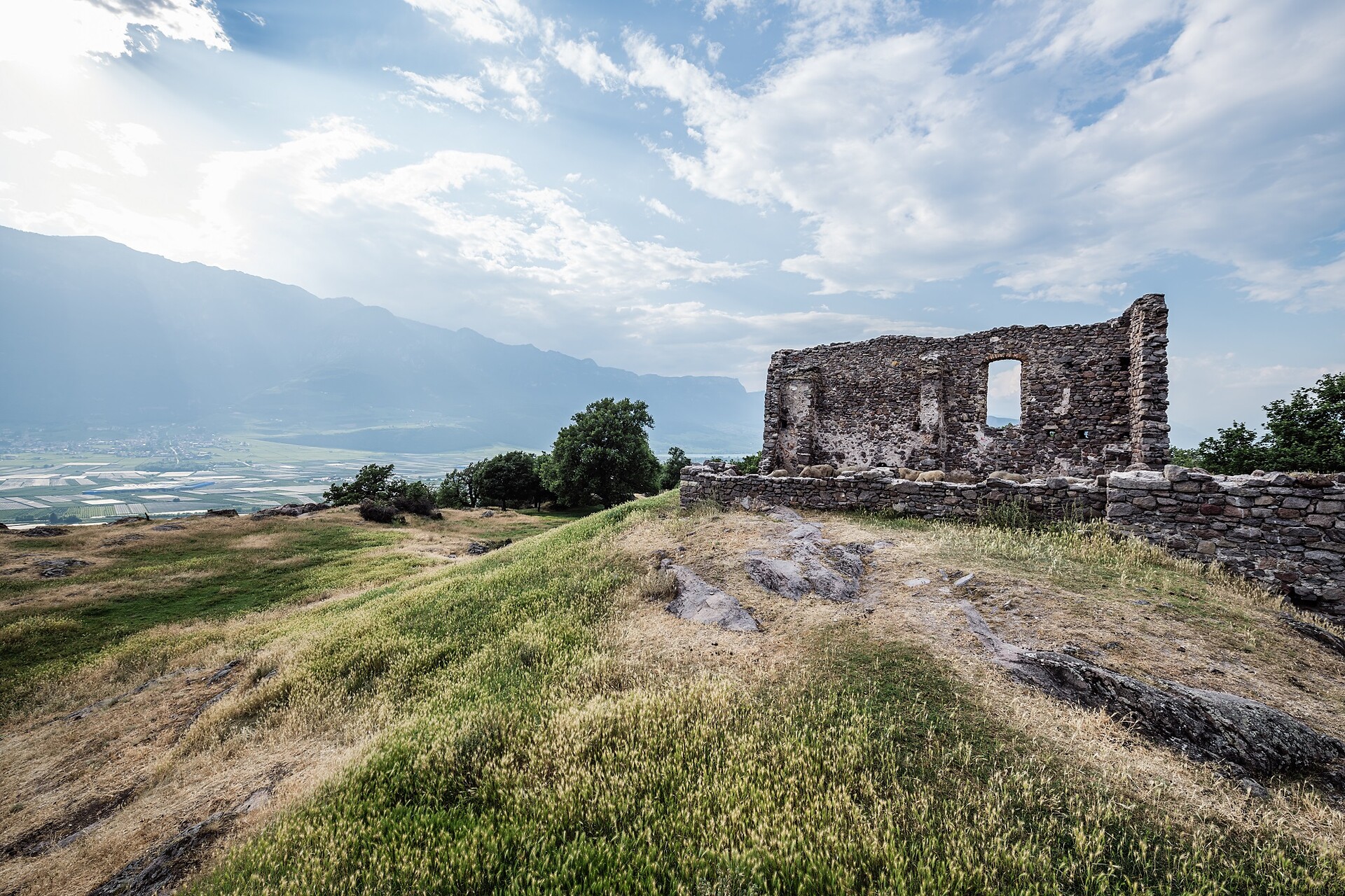 Castelfeder