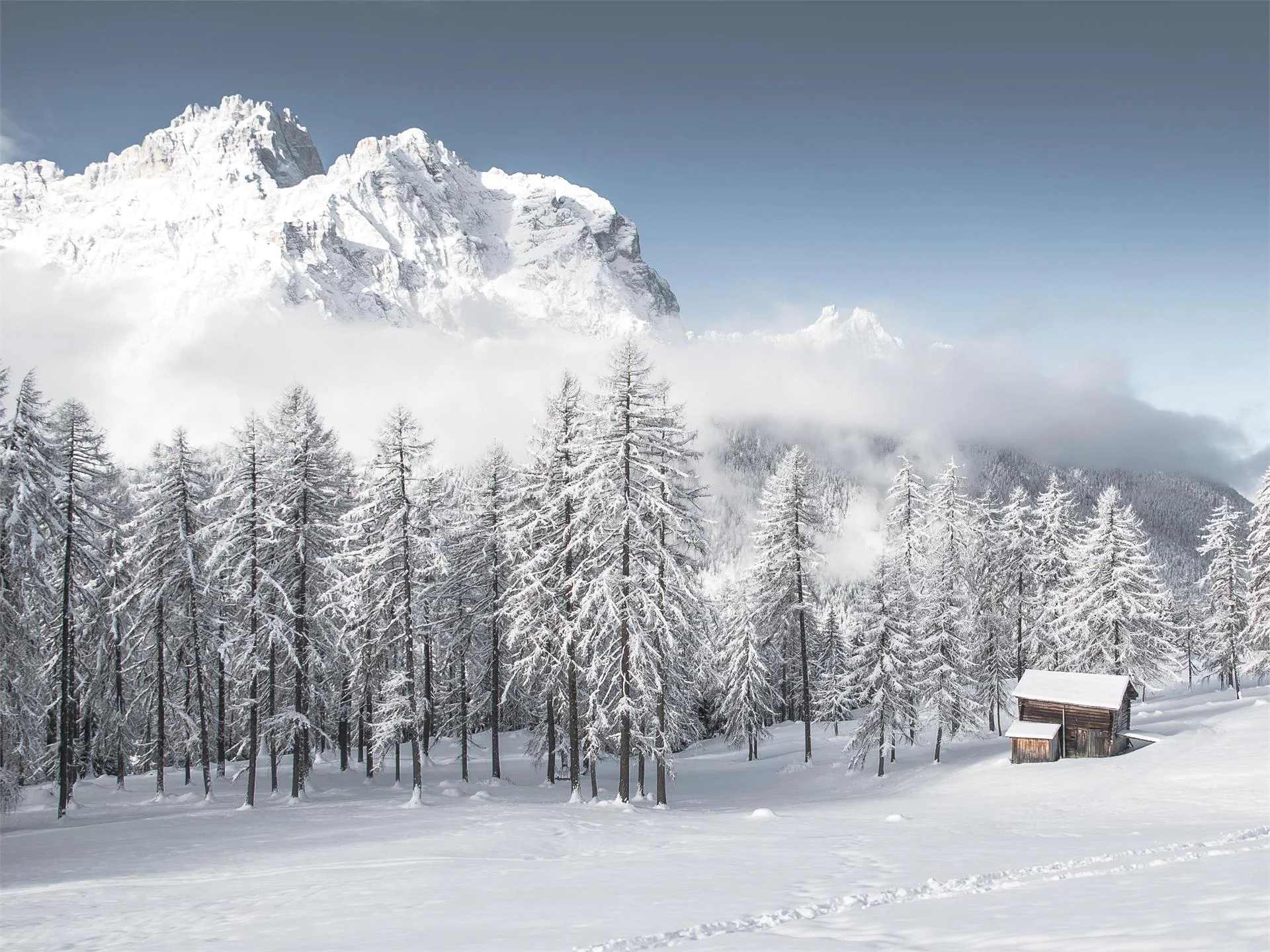 Stazione Monte Elmo - Rifugio Larice - Stazione a valle Monte Elmo Sesto 1 suedtirol.info