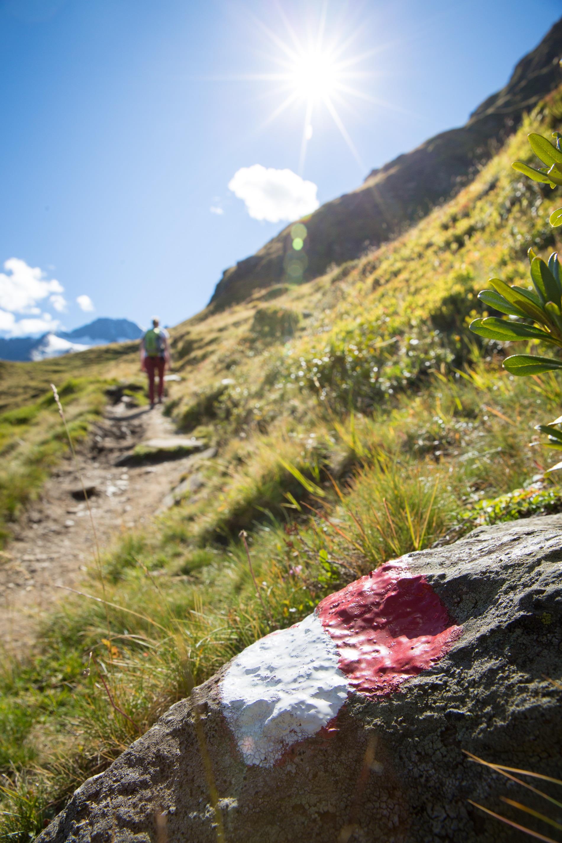 Bergtour auf das Königsjoch (2.819 m) Moos in Passeier 1 suedtirol.info