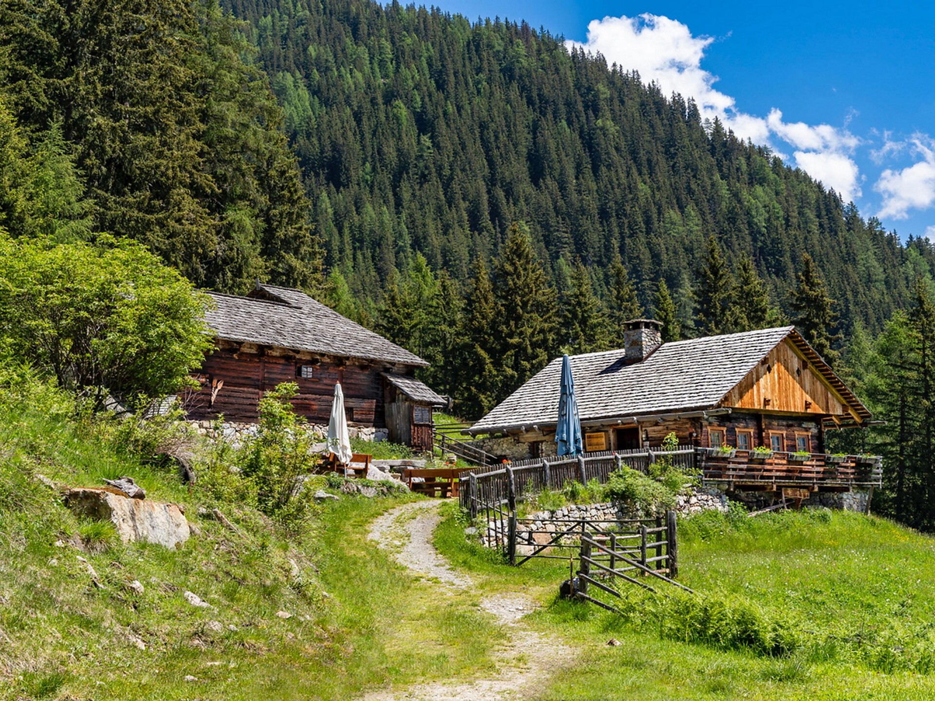 Hike to Bergeralm - Dolomites Region Kronplatz/Plan de Corones - #2 - suedtirol.info
