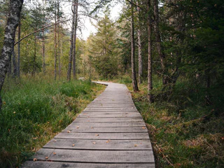 Naturerlebnis-Rundwanderung durch das Biotop Rasner Möser - Rasen-Antholz - #5 - suedtirol.info