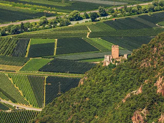 Burgenweg Bozen Jenesien Terlan Burgruine Neuhaus