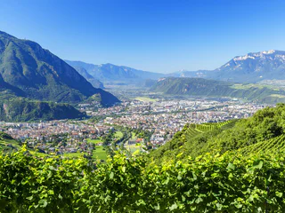 Burgenweg Panorama 3 Bozen Jenesien Terlan