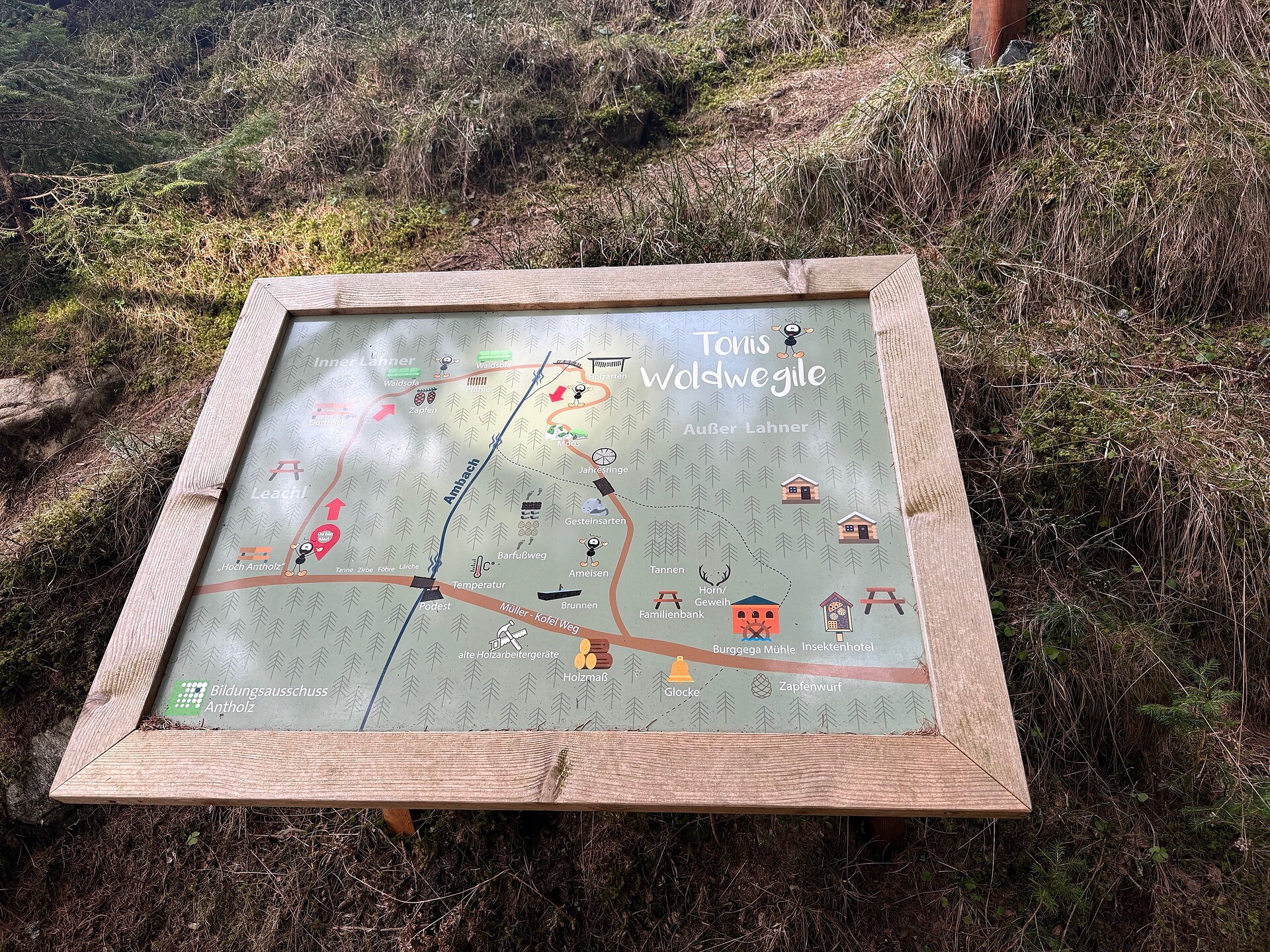 Family Hike to the Burgegga Mill - Dolomites Region Kronplatz/Plan de Corones - #6 - suedtirol.info