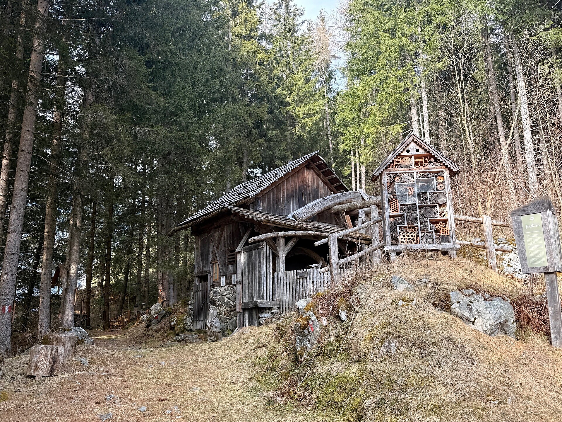 Family Hike to the Burgegga Mill - Dolomites Region Kronplatz/Plan de Corones - #5 - suedtirol.info