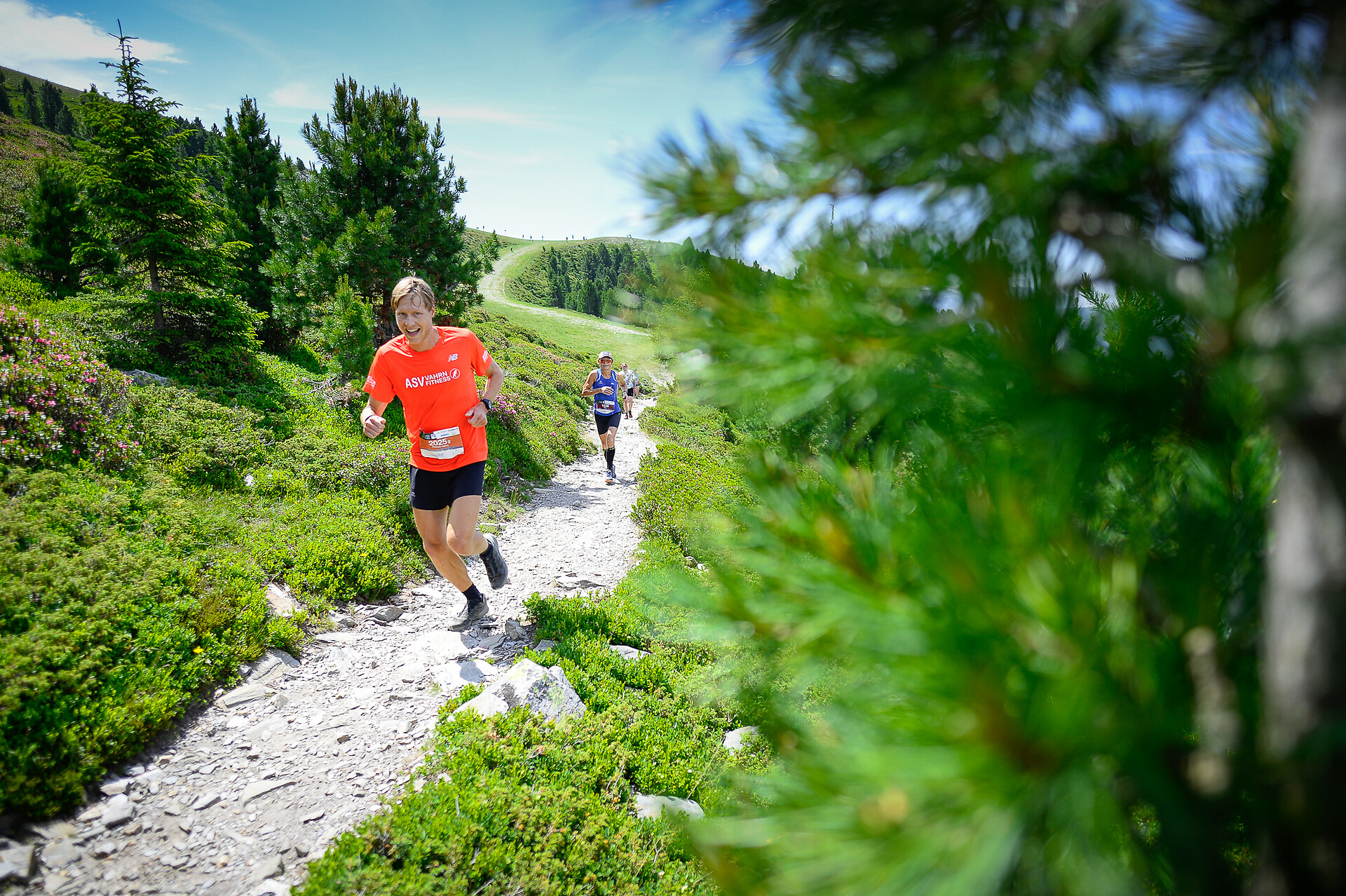 Ladinia Trail