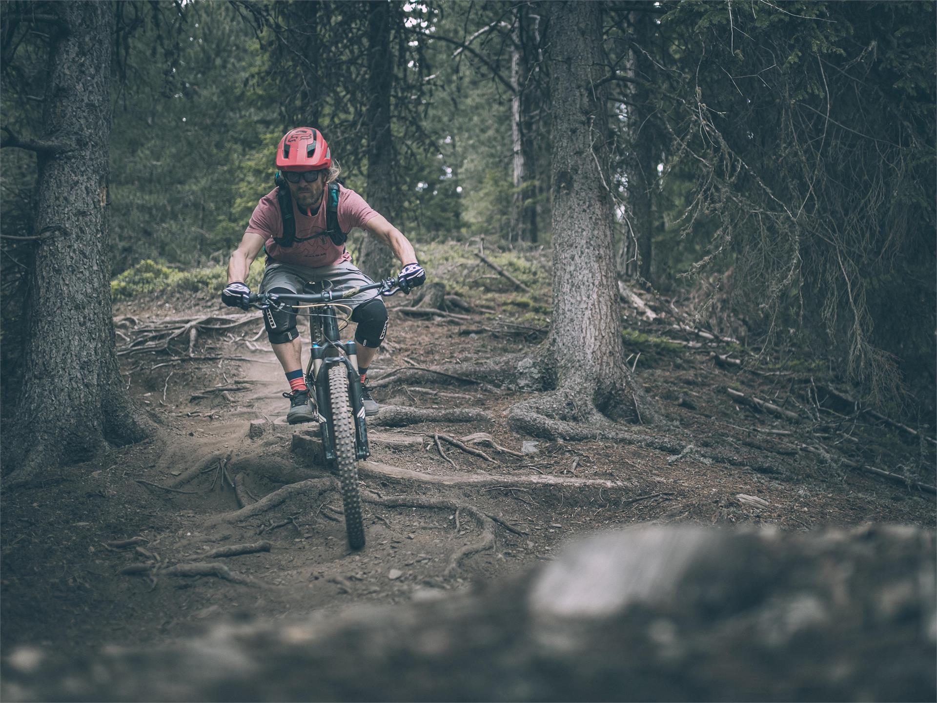 Brixen Bikepark: Palm Pro Line Bressanone 1 suedtirol.info
