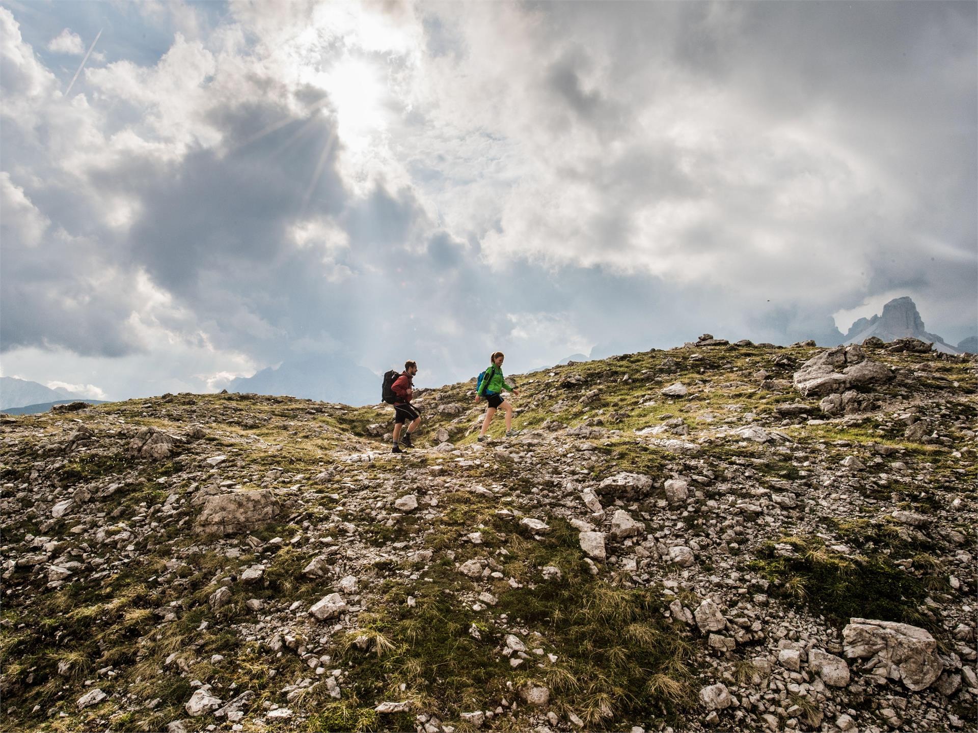 Mountain Hike: Helm/Monte Elmo Sexten/Sesto 2 suedtirol.info