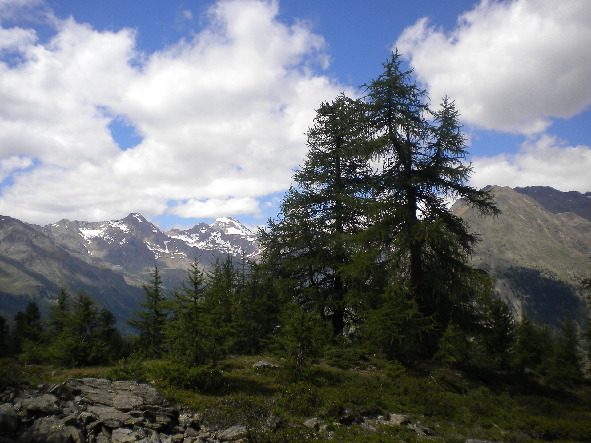 Nockspitze