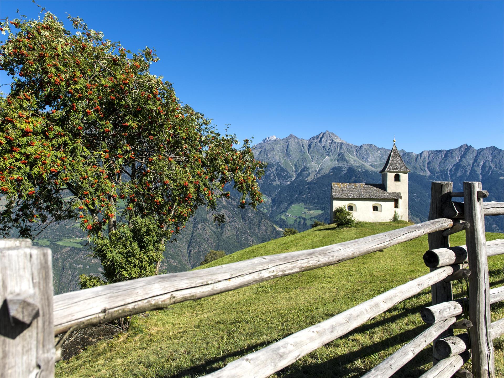 Aschbach/Rio Lagundo Mountain running track Partschins/Parcines 4 suedtirol.info