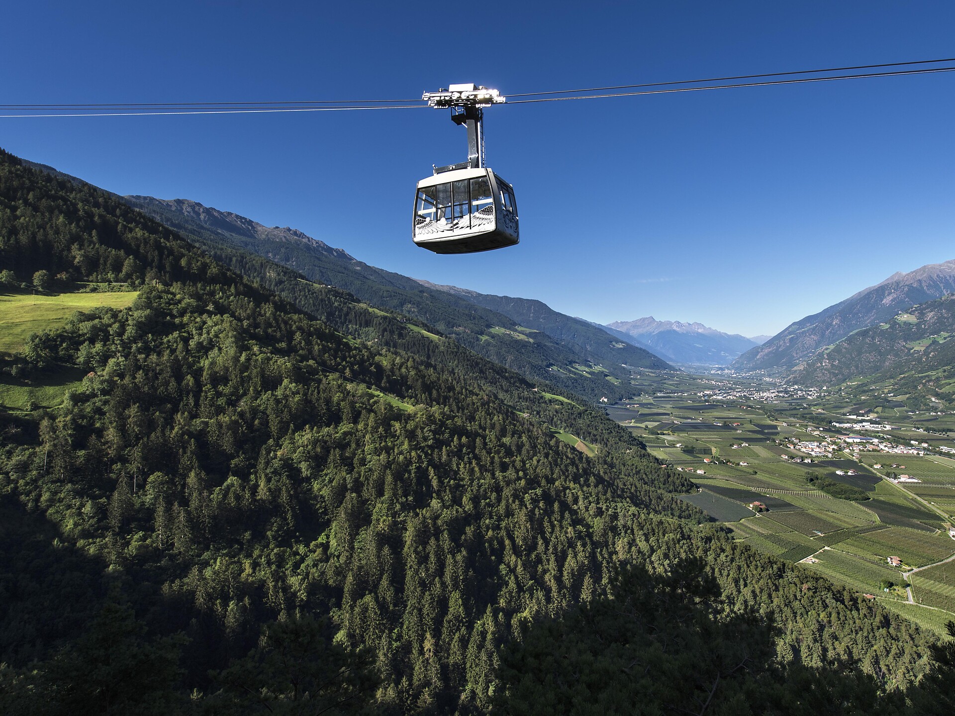 Aschbach Mountain running track