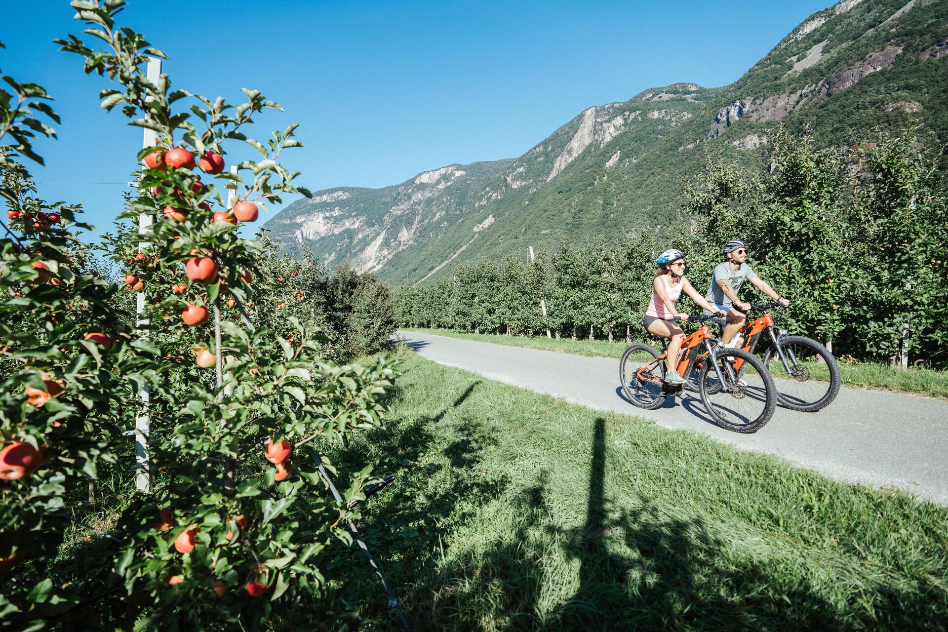 Castelfeder – Merano - Val Venosta Salorno 1 suedtirol.info