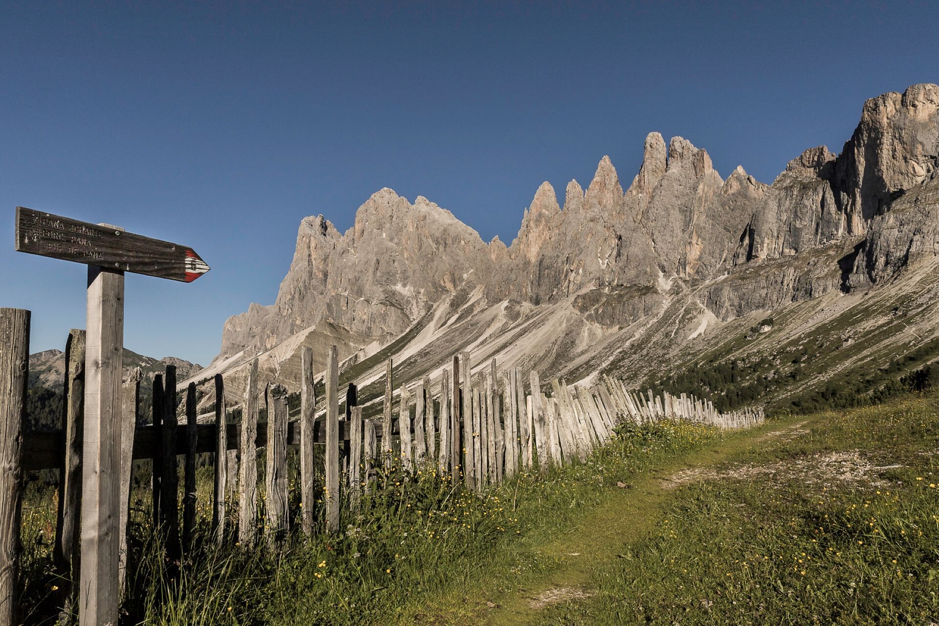 CURONA DE GHERDËINA DELUXE - STAGE 1: Resciesa - Col Raiser - Seceda - Dolomites Region Val Gardena - #4 - suedtirol.info