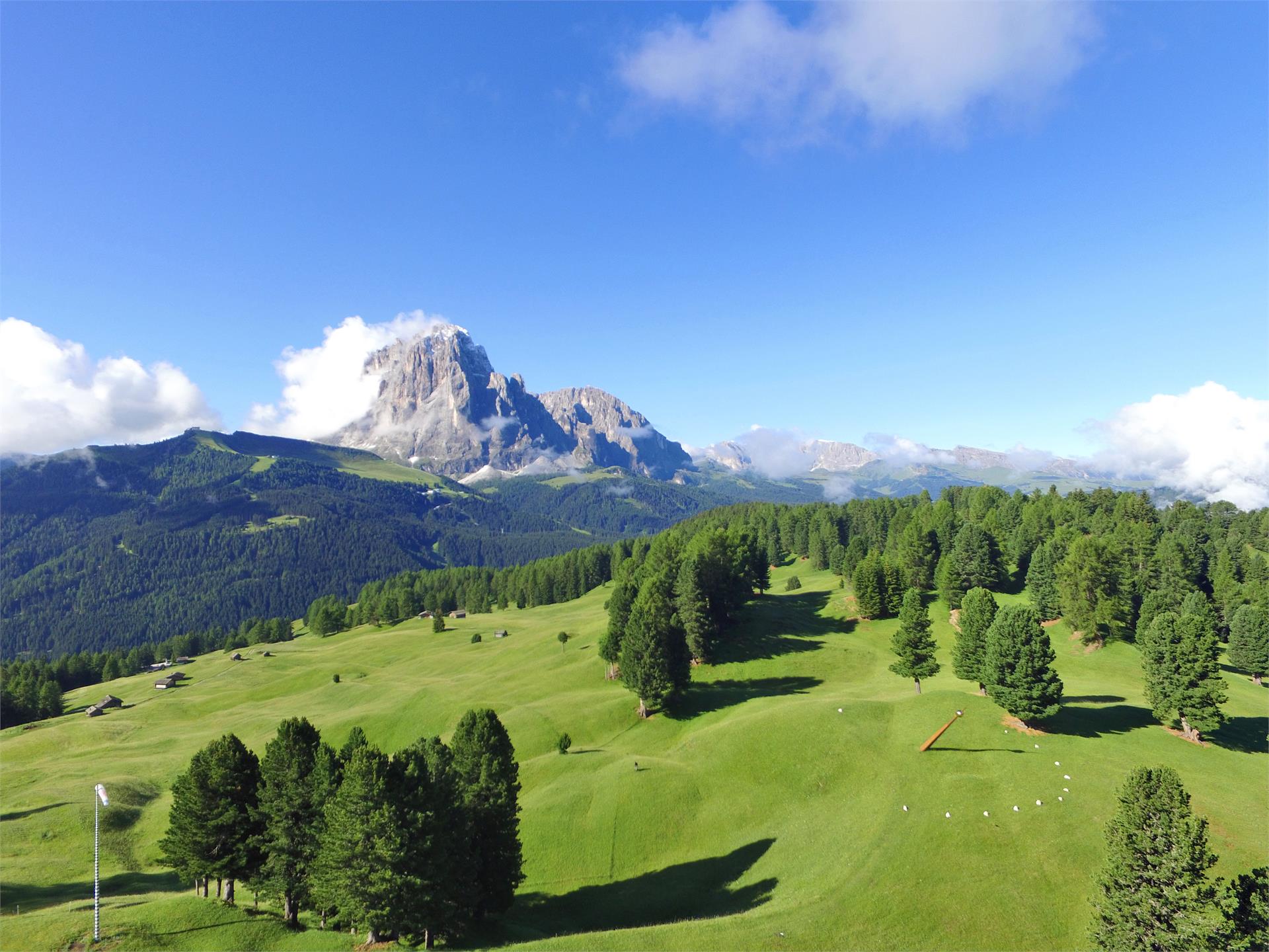 Cisles Selva 1 suedtirol.info