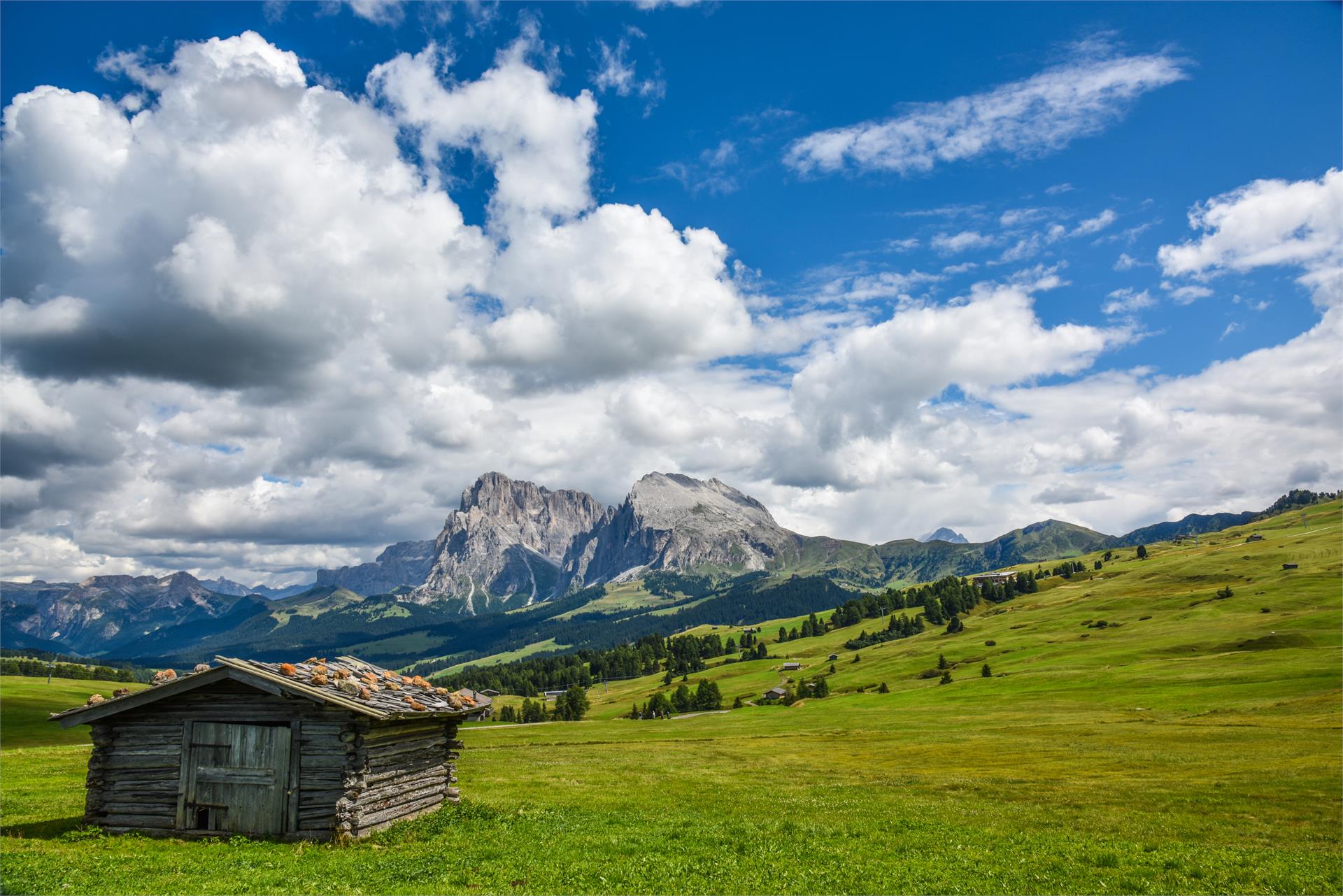 Compatsch - Rifugio Molignon Castelrotto 2 suedtirol.info