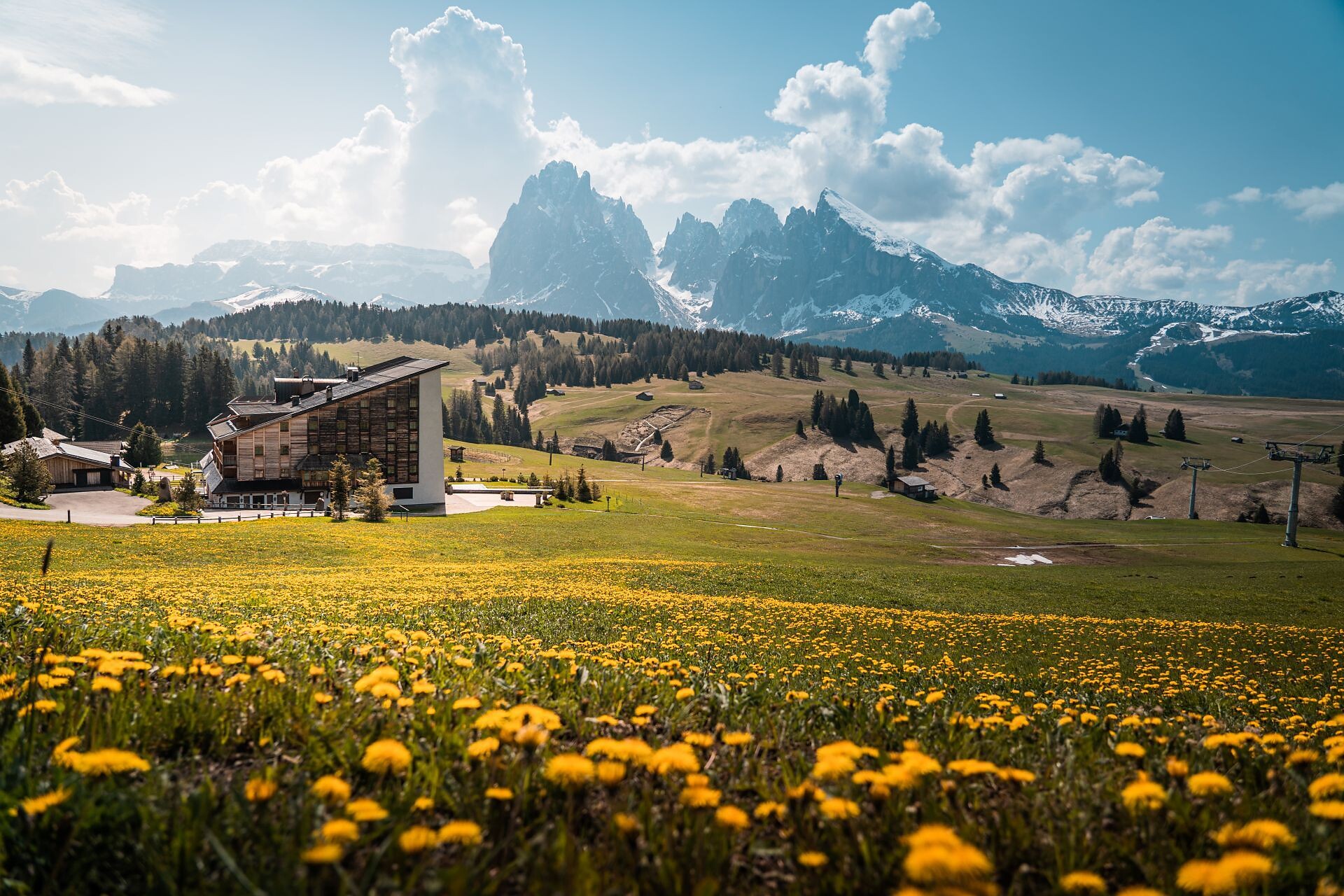 CURONA DE GHERDËINA DELUXE - STAGE 5: Seiser Alm, the largest high-alpine pasture in Europe - Dolomites Region Seiser Alm - #3 - suedtirol.info