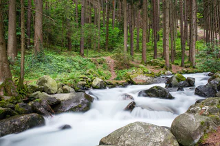 Carl Tod Weg