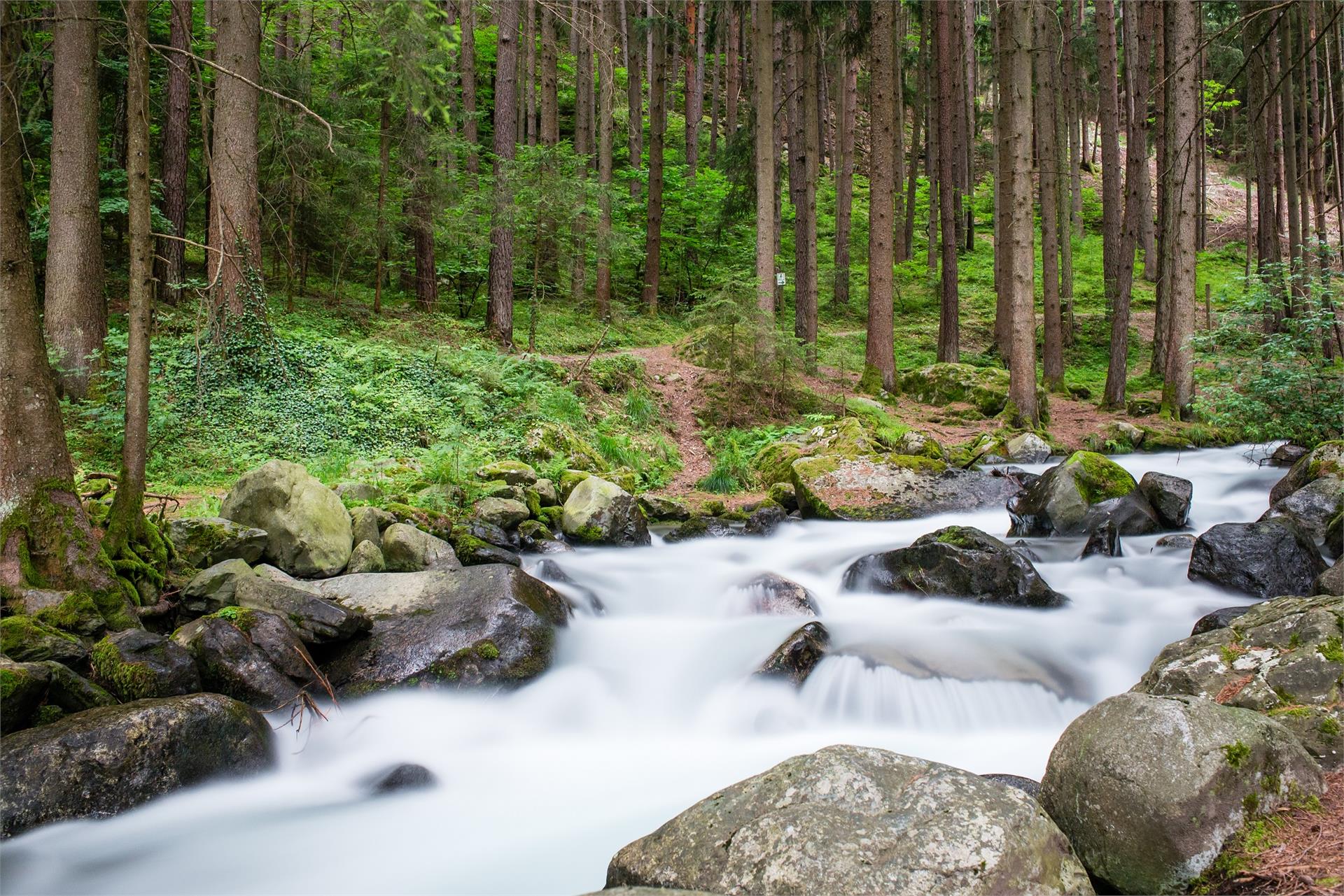 Il sentiero Carl-Toldt a Varna Varna 1 suedtirol.info