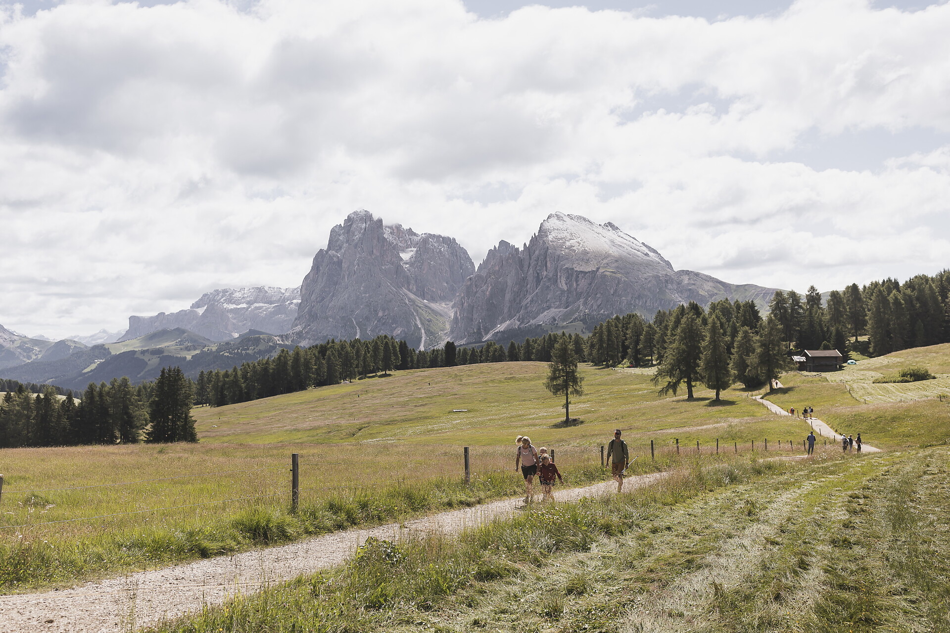 Compatsch - Wiedner Eck - Dolomites Region Seiser Alm - #1 - suedtirol.info