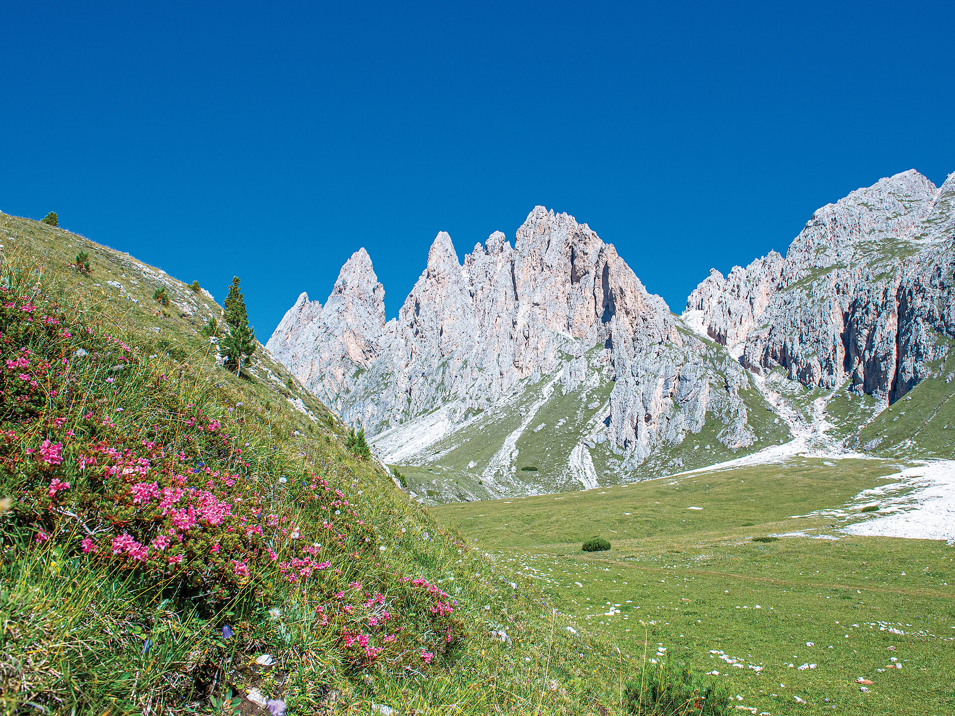 Dolomites UNESCO Geotrail - Stage 5: from Ortisei/St. Ulrich to the Puez Hut (Alternative route) - Dolomites Region Val Gardena - #10 - suedtirol.info
