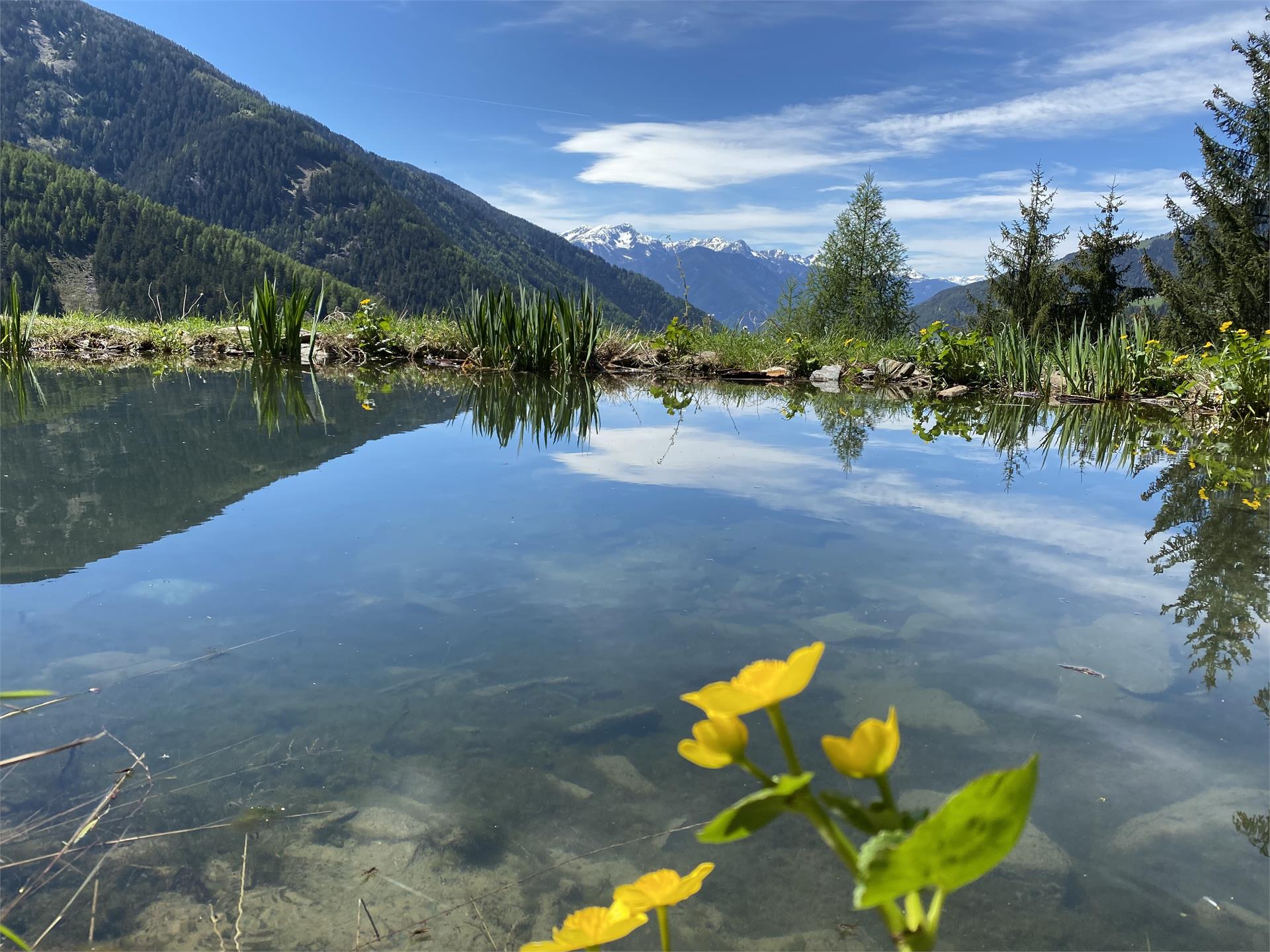 Il giro panoramico di Luson Luson 1 suedtirol.info