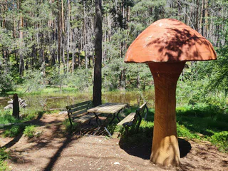 Der Pilzeweg im Laranzer Wald - Kastelruth - #4 - suedtirol.info