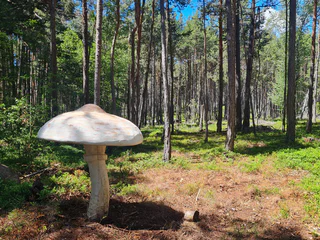 Der Pilzeweg im Laranzer Wald - Kastelruth - #3 - suedtirol.info